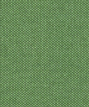 Source 19005 Sencha