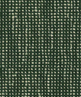 Slow 19106 Fern
