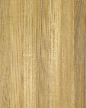 Premium Teak