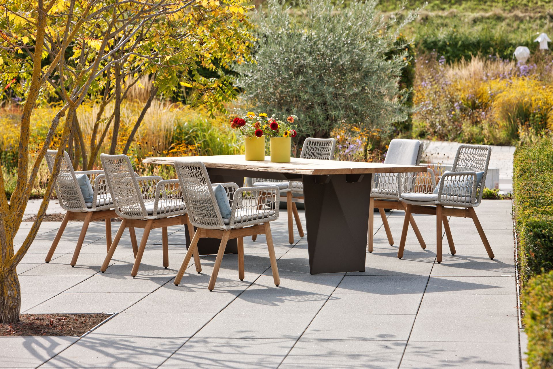 Wing Kollektion – Fischer Möbel Design-Gartensessel mit ergonomischem Geflecht für exklusives Outdoor-Dining.