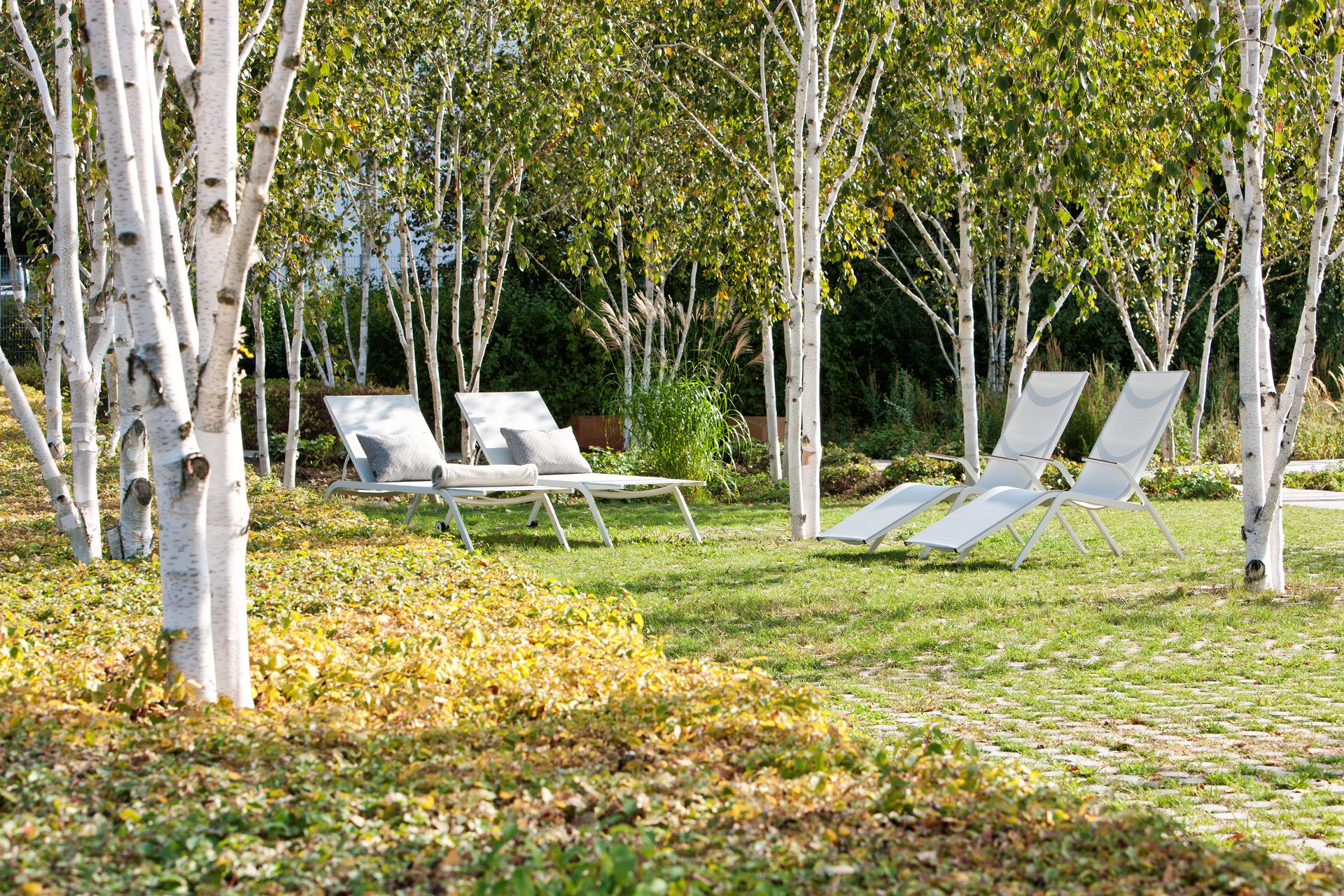 Atlantic &amp; Solo Kollektion – Fischer Möbel Sonnenliegen und Relaxmöbel für exklusive Garten- und Poolbereiche.